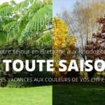 toute-saison