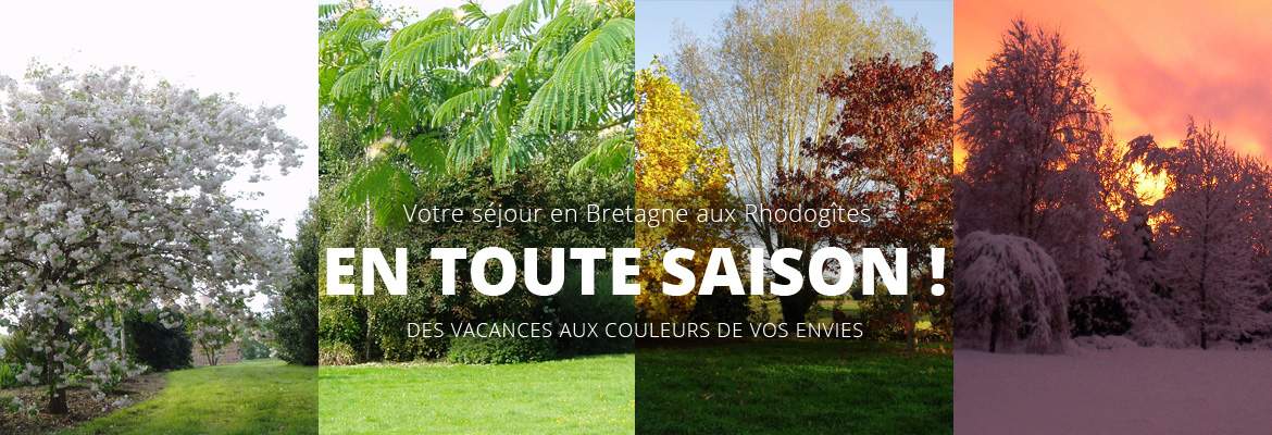 toute-saison